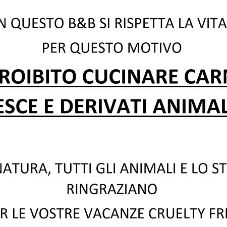 Casa Vegan Bed & Breakfast