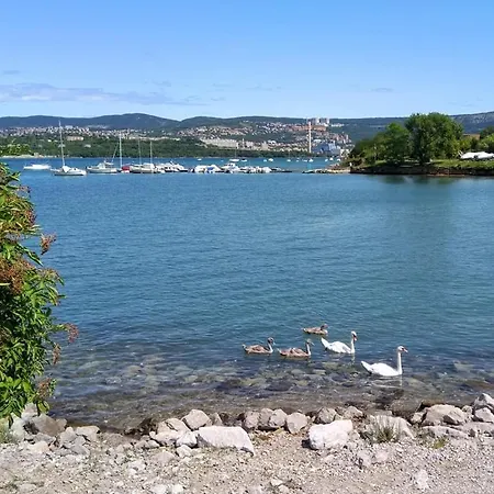 Casa Vegan Frühstückspension Muggia